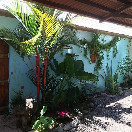 Sueno Grande B&B Puerto Viejo de Talamanca Dış mekan fotoğraf