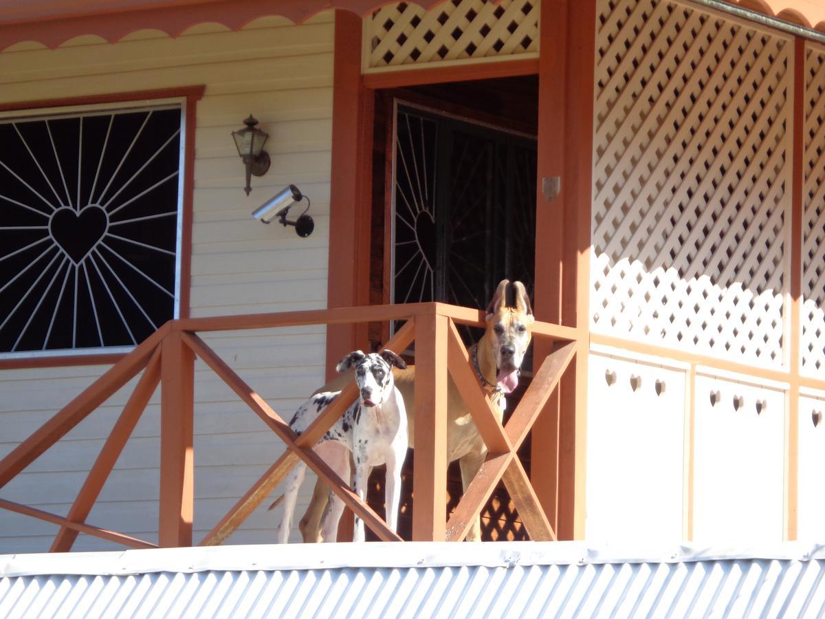 Sueno Grande B&B Puerto Viejo de Talamanca Dış mekan fotoğraf