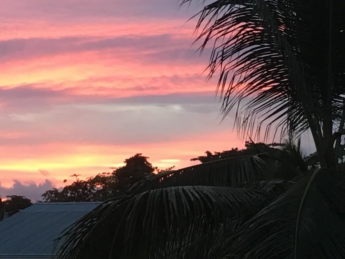 Sueno Grande B&B Puerto Viejo de Talamanca Dış mekan fotoğraf